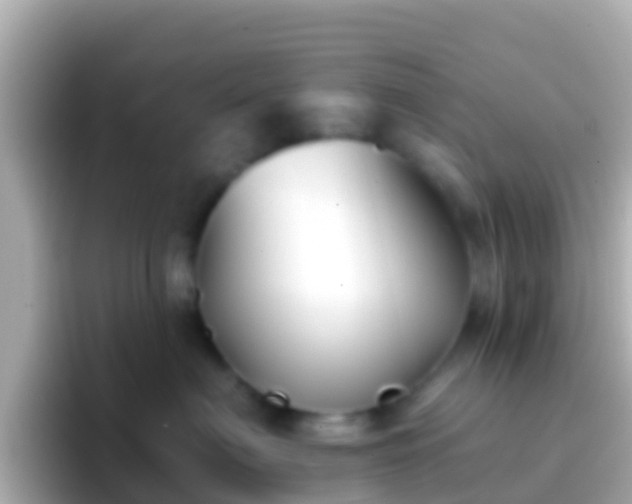 X0000096690622200802121233