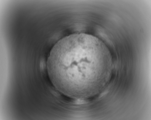 X0000096690623200802121233