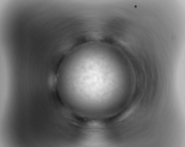 X0000096690624200802121233