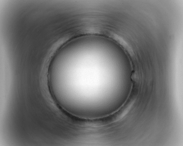 X0000096690625200802121233