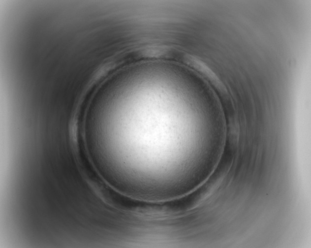 X0000096690626200802121233