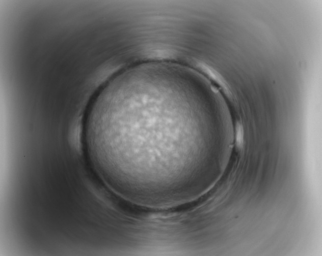 X0000096690627200802121233