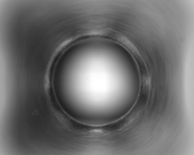 X0000096690628200802121233