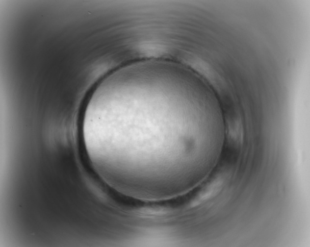 X0000096690630200802121233