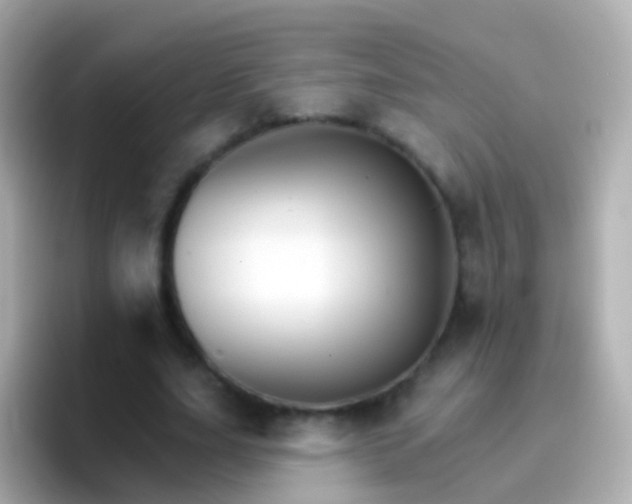 X0000096690631200802121233