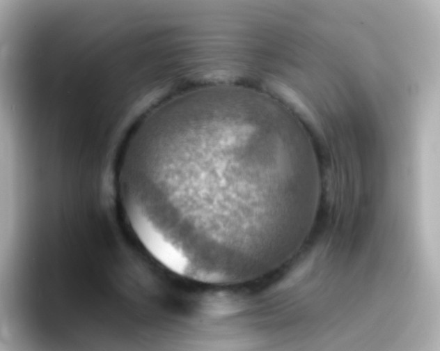 X0000096690634200802121233