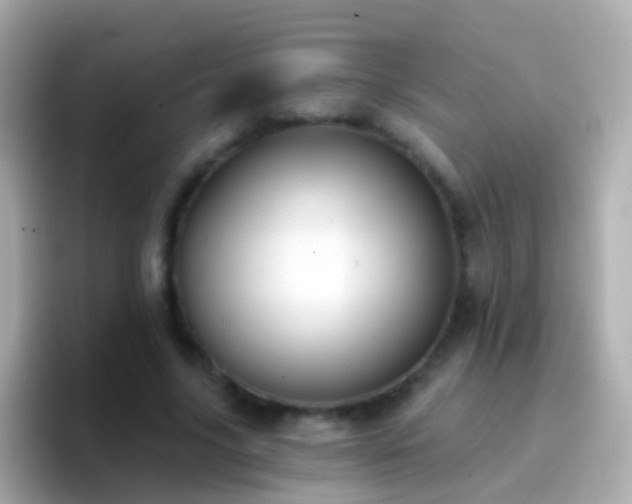 X0000096690635200802121233