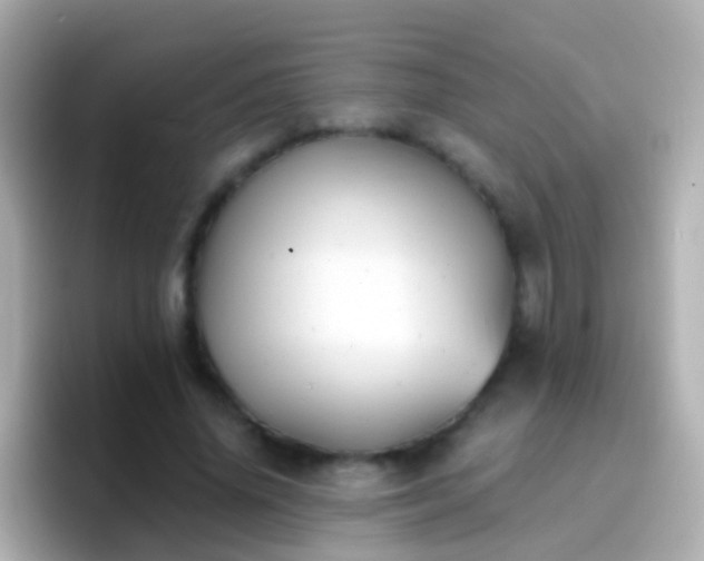 X0000096690636200802121233