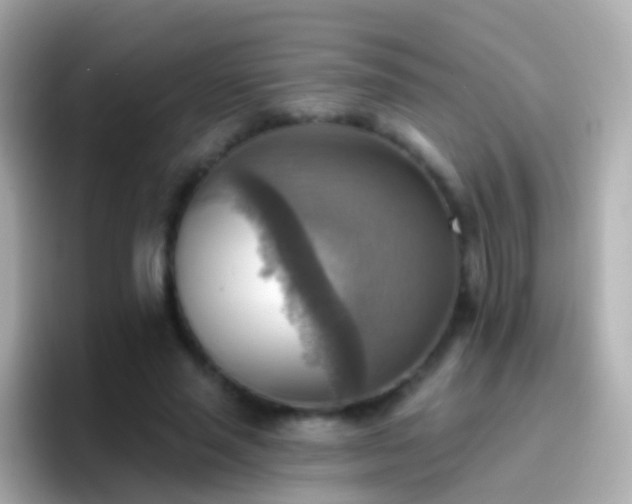 X0000096690637200802121233