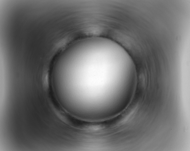 X0000096690638200802121233