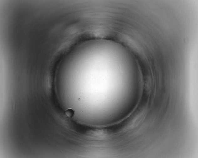 X0000096690639200802121233