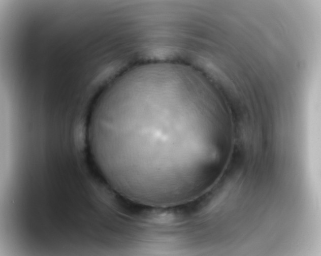 X0000096690640200802121233