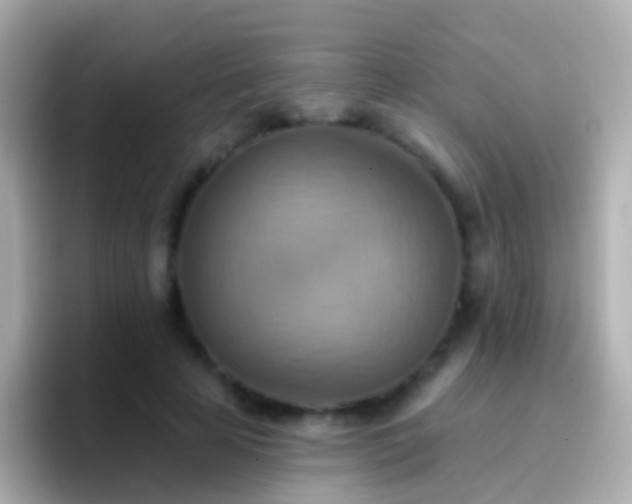 X0000096690641200802121233