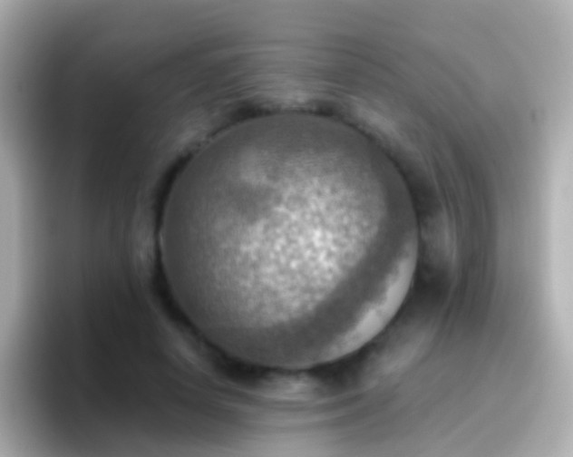 X0000096690642200802121233