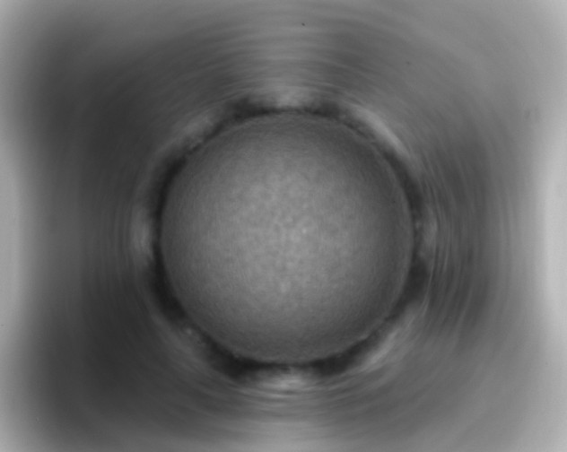 X0000096690643200802121233