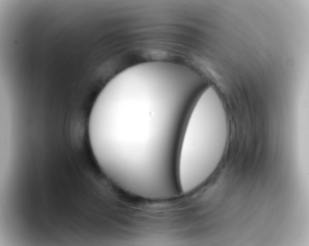 X0000096690645200802121233