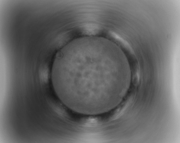 X0000096690647200802121233