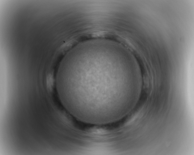 X0000096690648200802121233