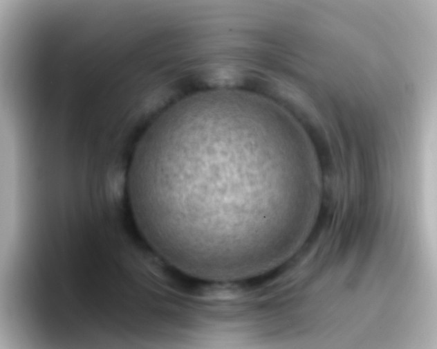 X0000096690652200802121233