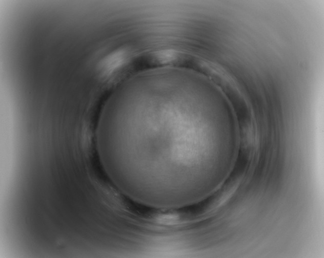 X0000096690653200802121233