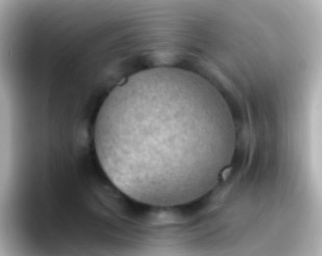 X0000096690655200802121233