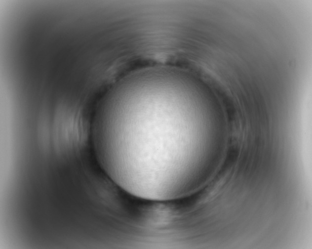 X0000096690656200802121233