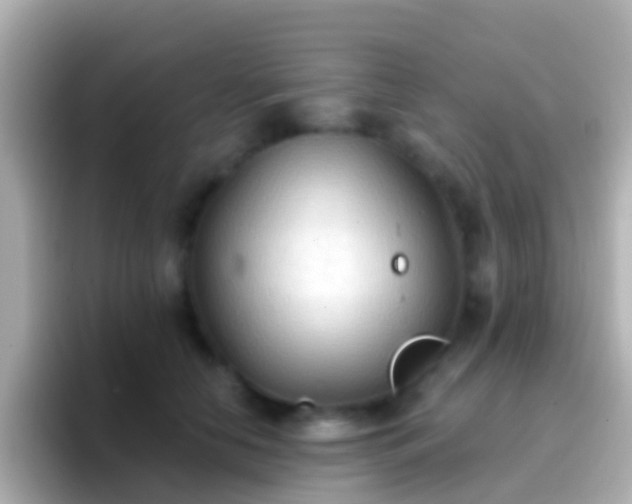 X0000096690658200802121233