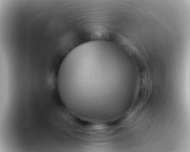 X0000096690659200802121233