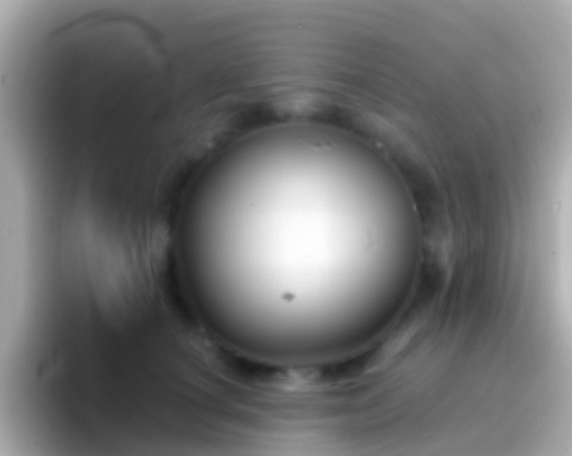 X0000096690660200802121233