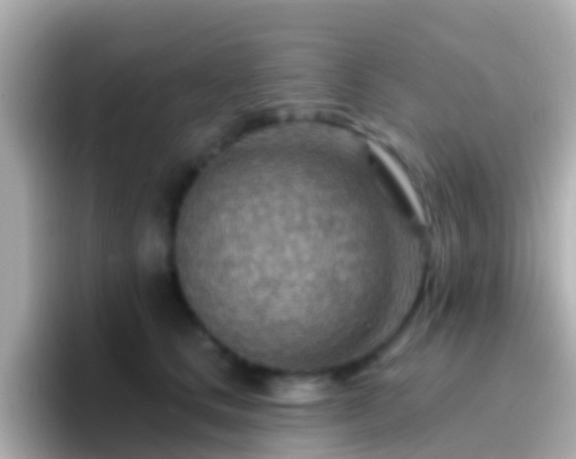 X0000096690661200802121233