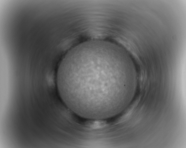 X0000096690663200802121233