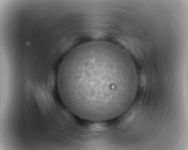 X0000096690664200802121233