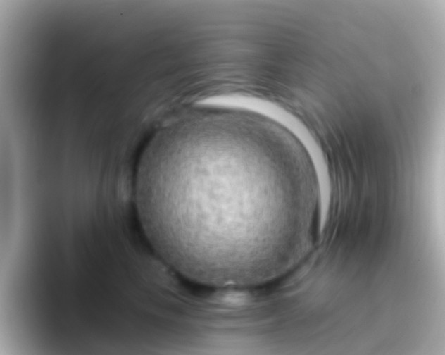 X0000096690665200802121233