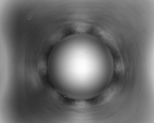 X0000096690666200802121233