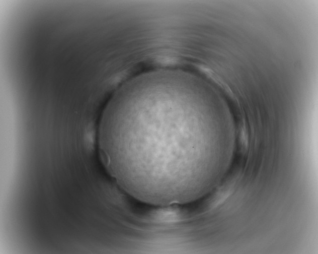 X0000096690668200802121233