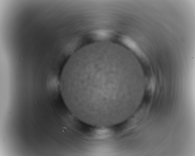 X0000096690669200802121233