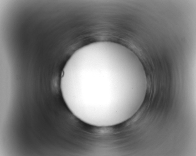 X0000096690670200802121233