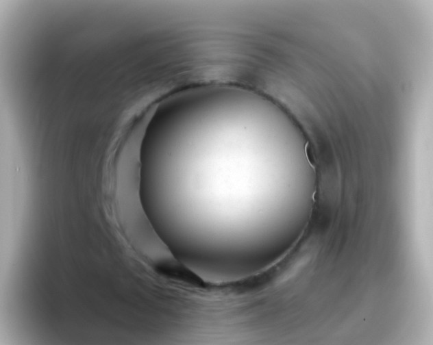 X0000096690673200802121233