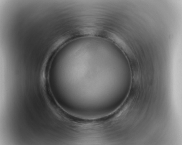 X0000096690674200802121233