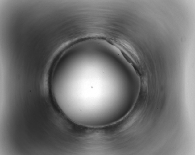 X0000096690676200802121233