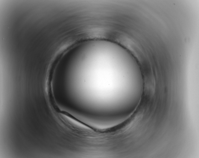 X0000096690677200802121233