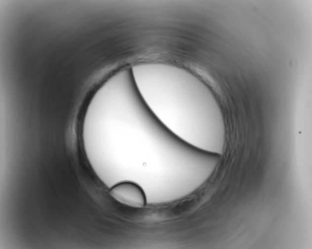 X0000096690678200802121233