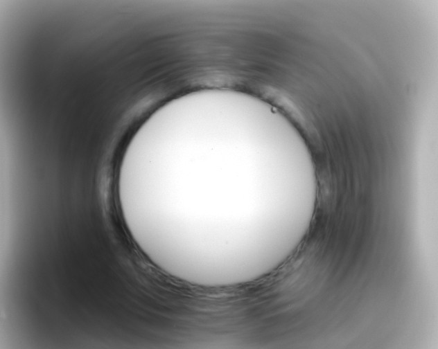 X0000096690679200802121233