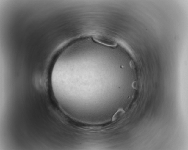 X0000096690680200802121233