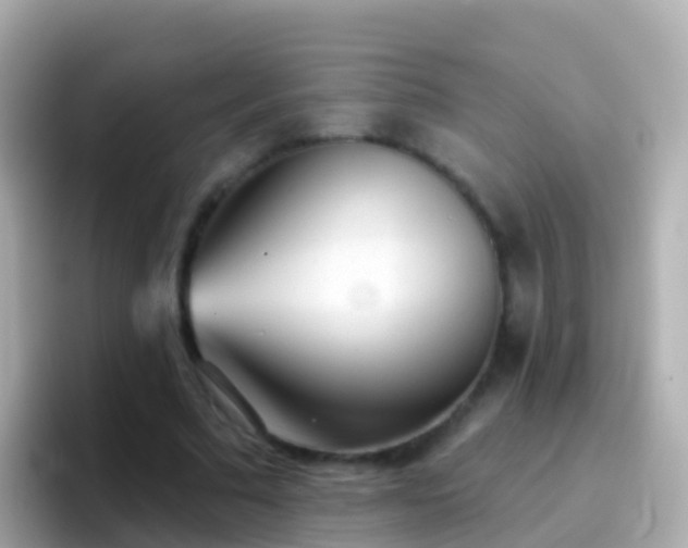 X0000096690681200802121233