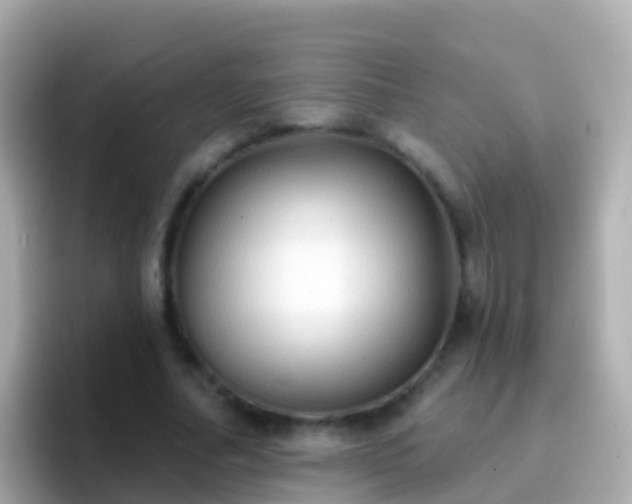 X0000096690682200802121233