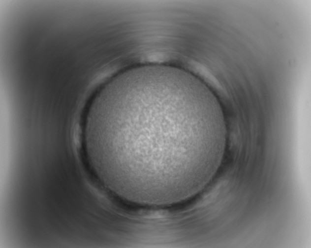 X0000096690683200802121233