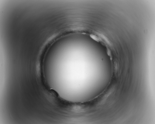 X0000096690684200802121233