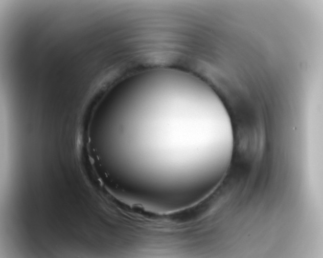 X0000096690685200802121233