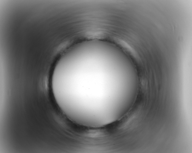 X0000096690686200802121233